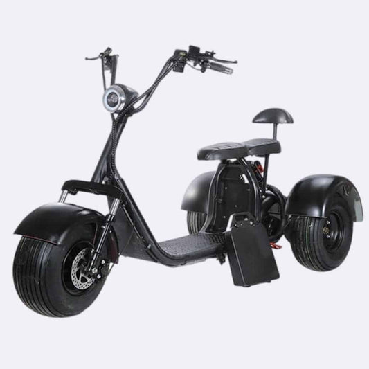 Linkseride X7 Popular Adult Fat Tire Mobility Three Wheel Electric Scooter