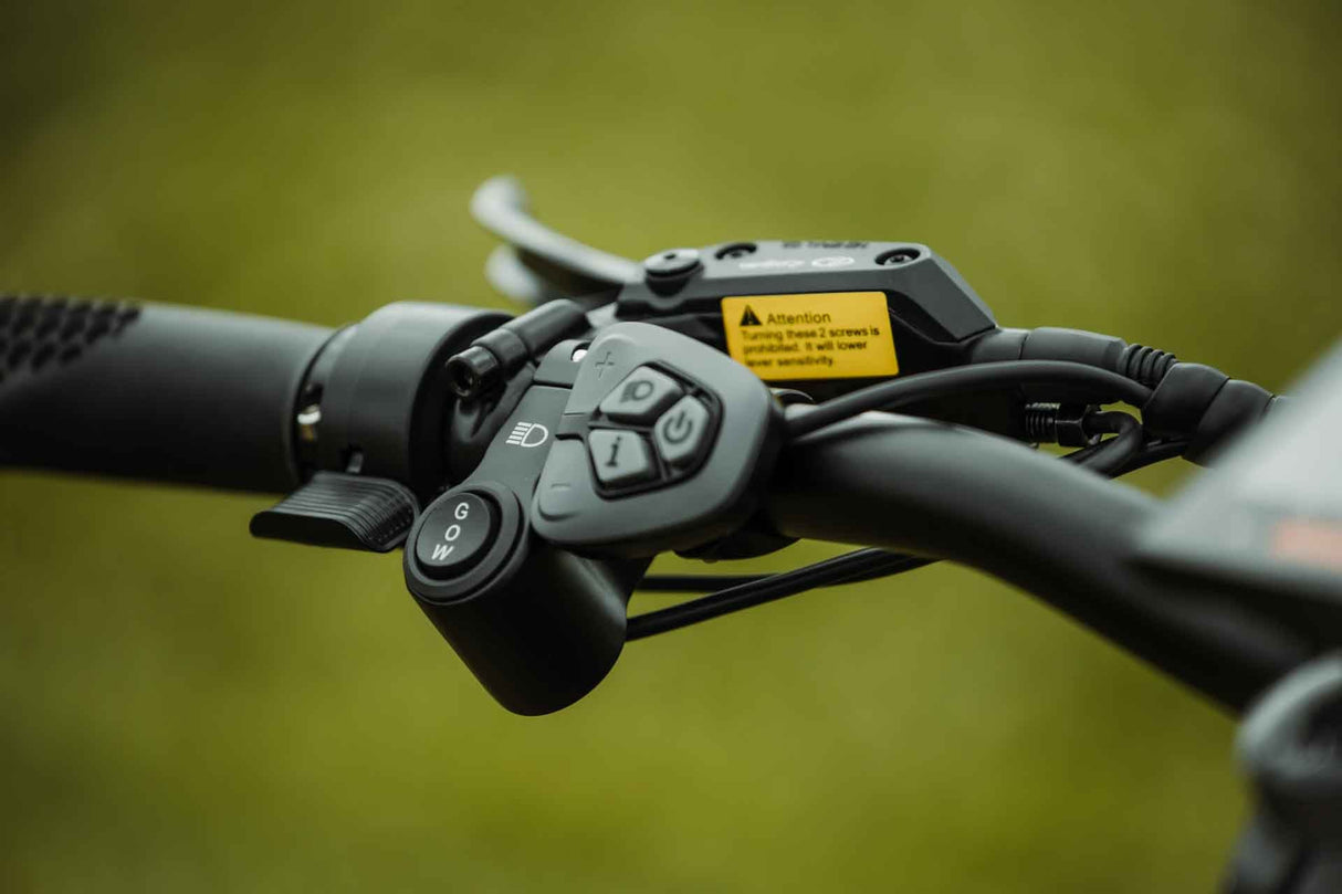 Rambo Rebel 2.0 SS Up to 32 MPH 1000W 48V 15Ah Single Speed Electric Bike