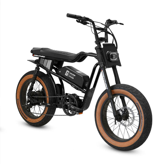 Golden Cycles Panthro E-Bike | 750W Motor, 48V Battery, 60 Mile Range