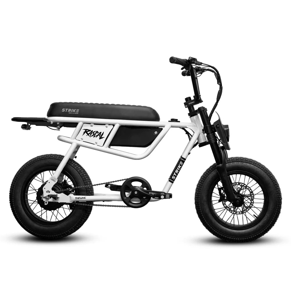 RASCAL Electric Bike 20MPH | 500W Motor | 48V 13Ah Battery | Fat Tire E-Bike