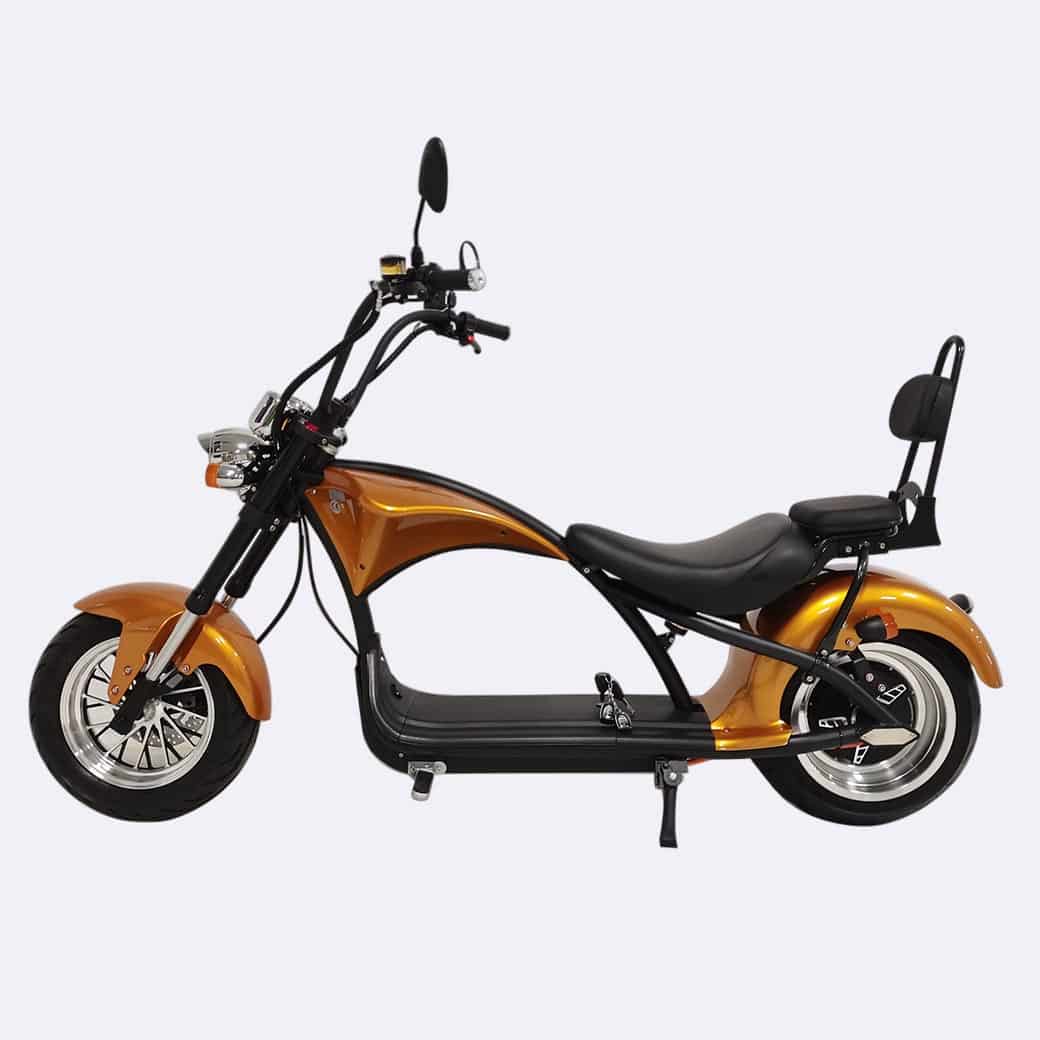 M1 2 Seater 2000W 30Ah Citycoco Electric Scooter