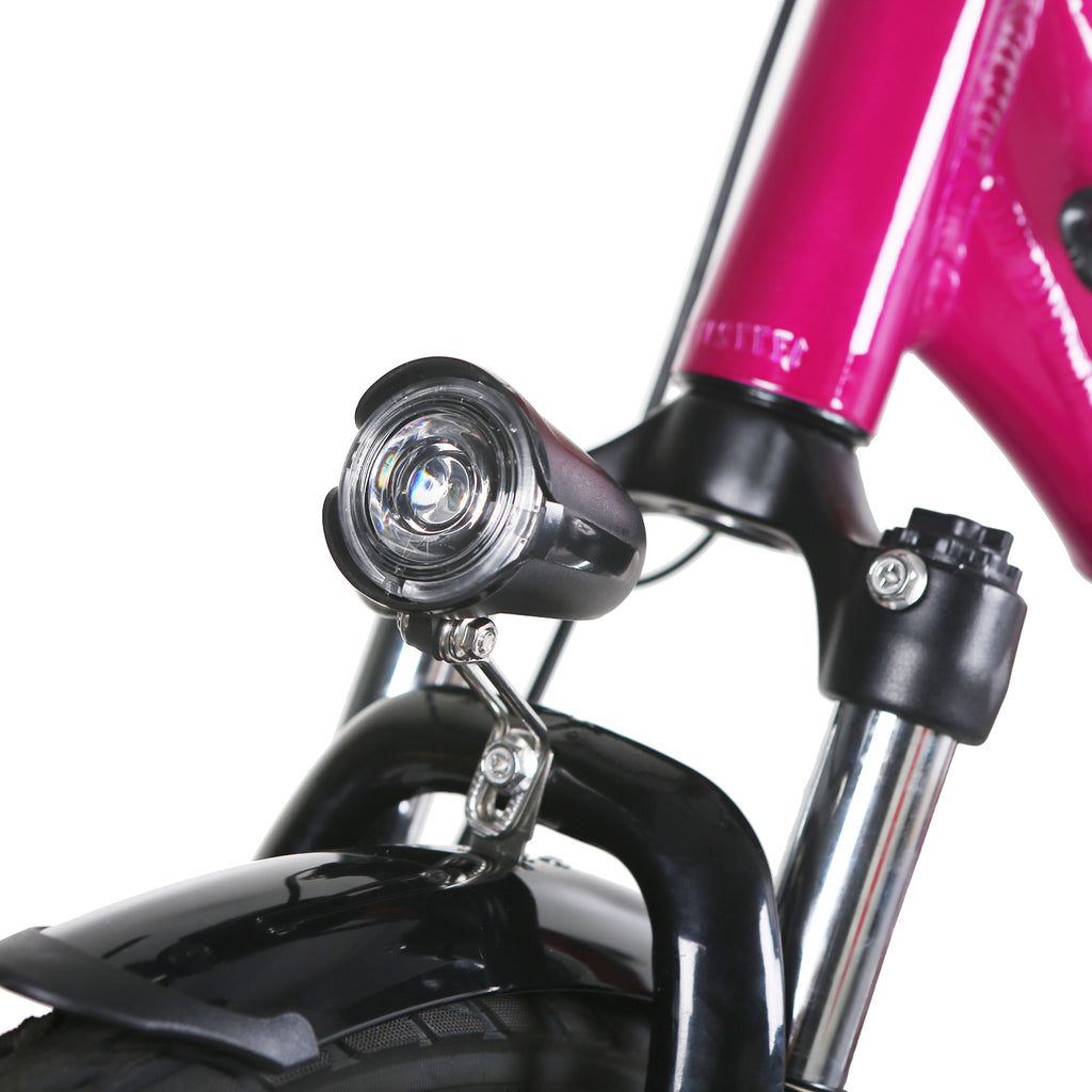 Nakto Strollor Bike | Electric Bike | Bike Lover USA