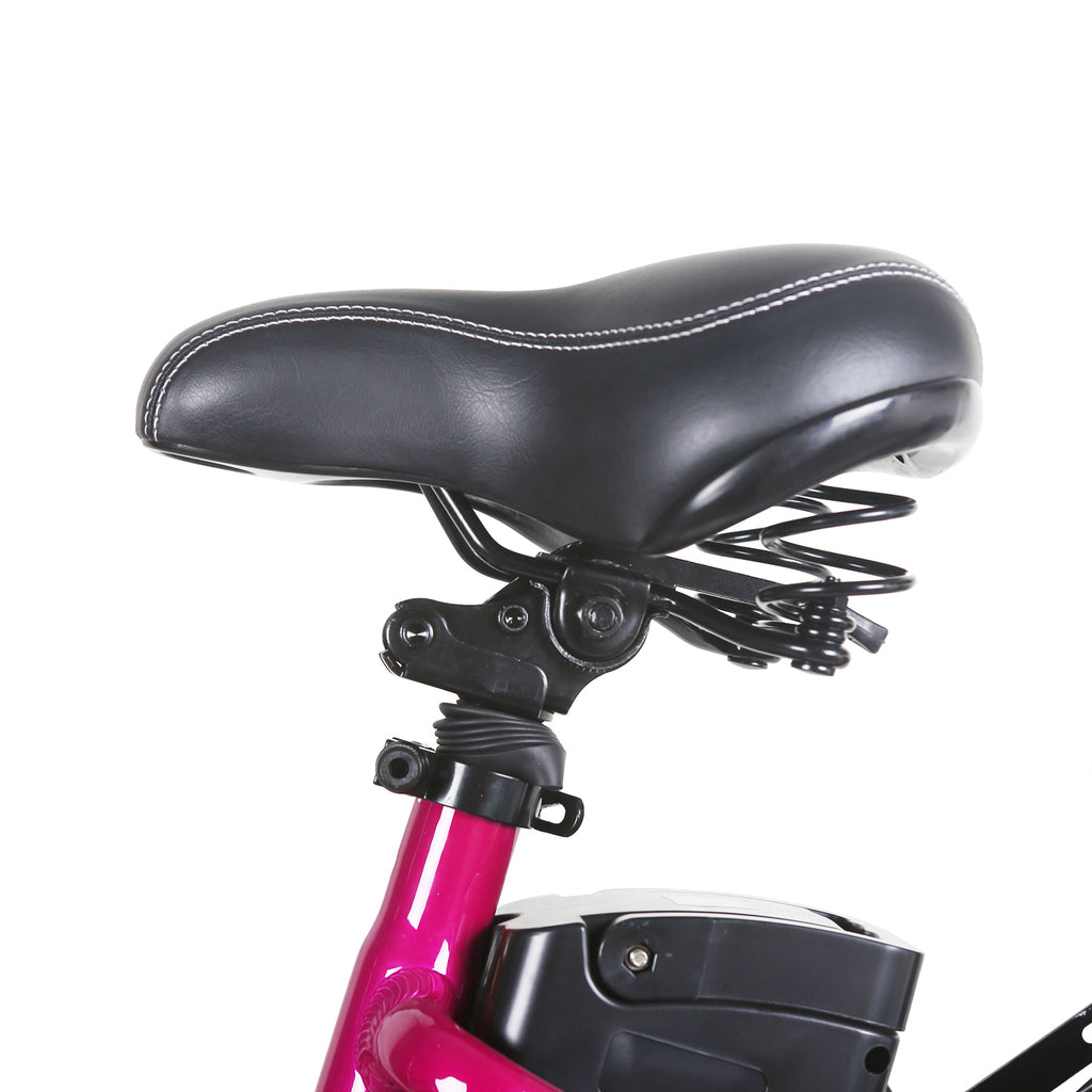 Nakto Strollor Bike | Electric Bike | Bike Lover USA