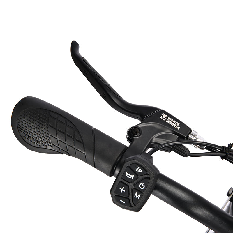 HM-1 Fat Tire Moped Style Electric Bike - Black