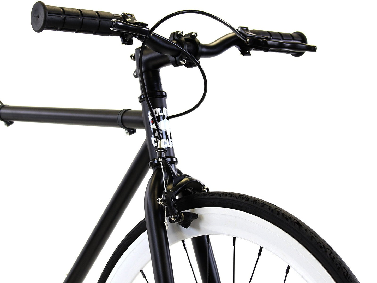 Golden Cycles - GC - Domino