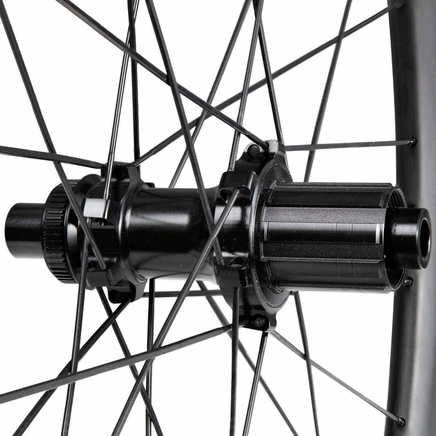 Alpha 50 pro Disc - Wheels