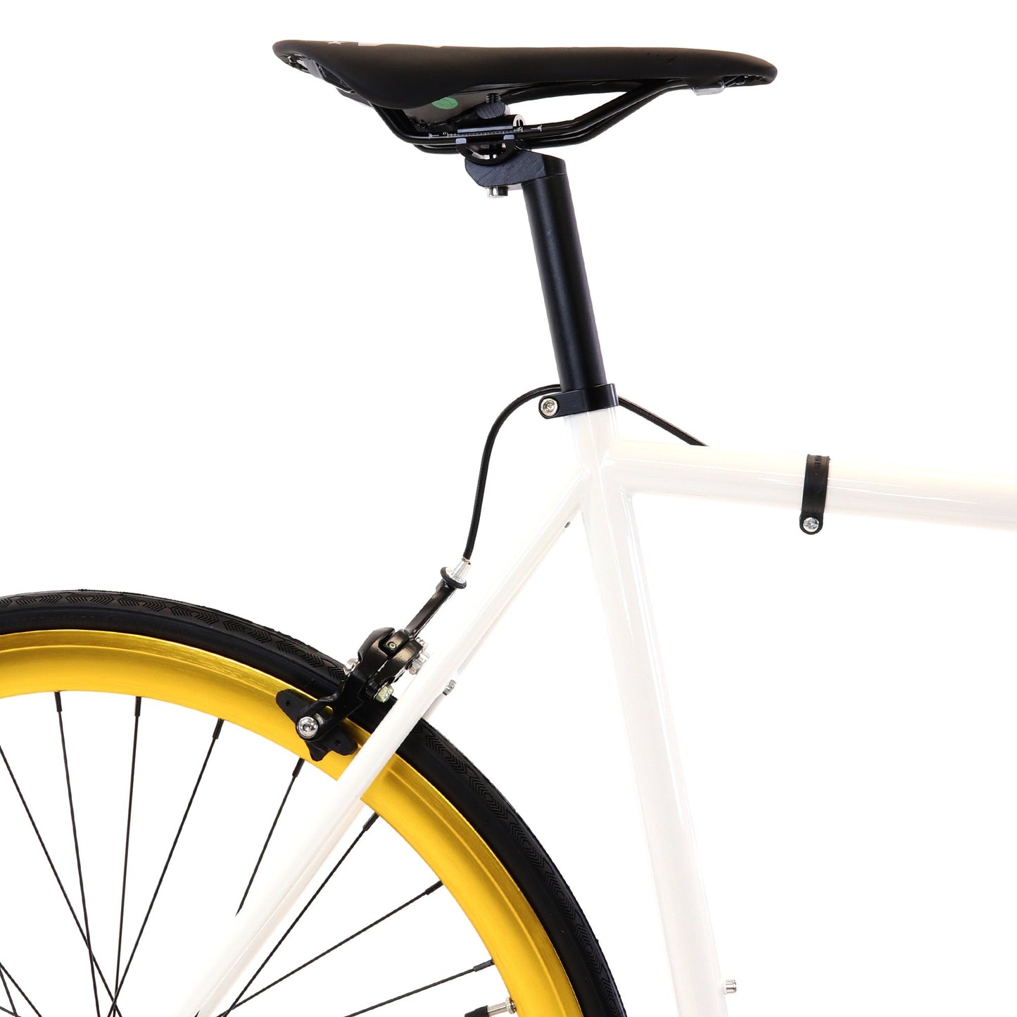 Golden Cycles - Gc - Pharaoh