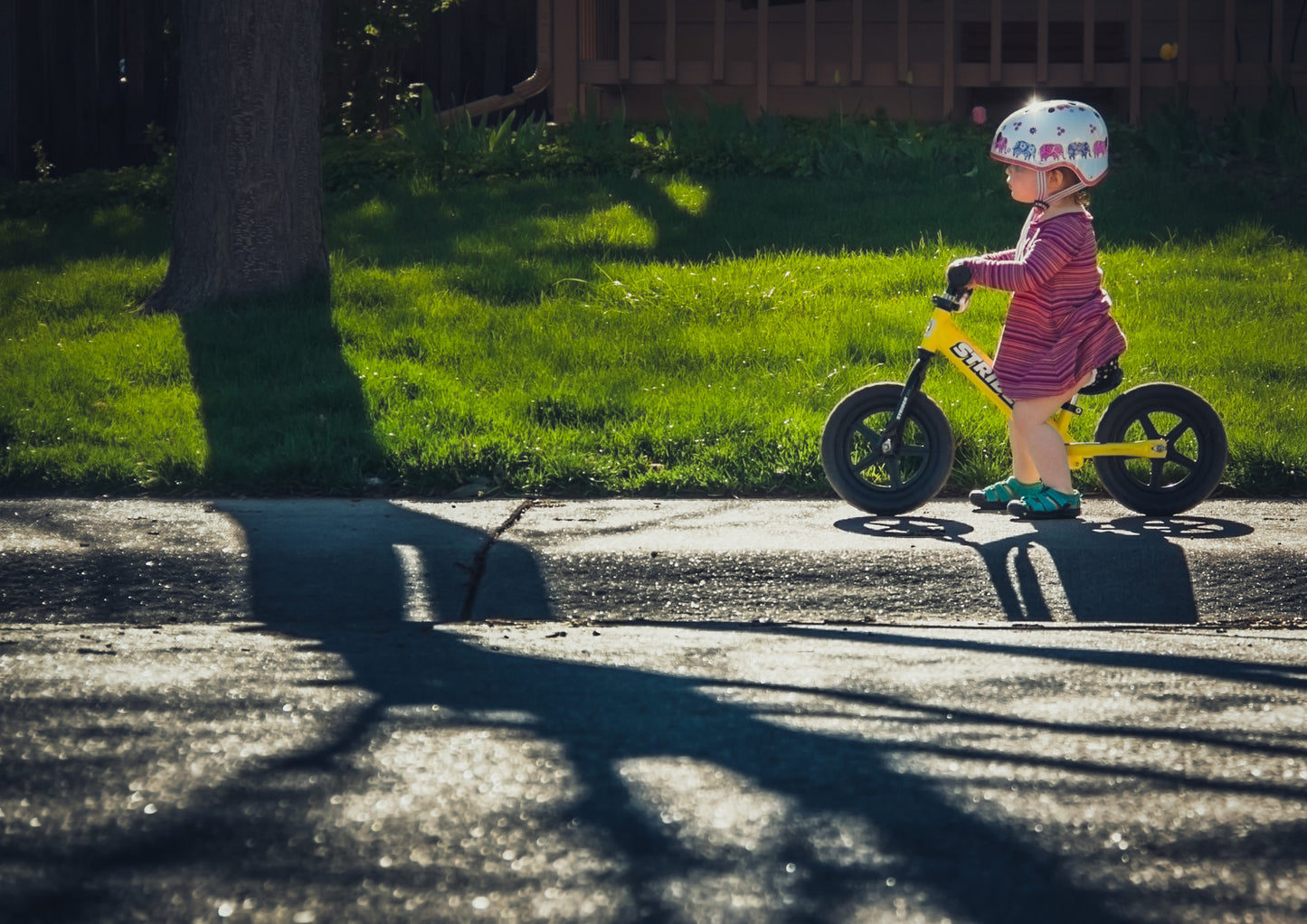 Strider 12 Sport Balance Bike - Yellow