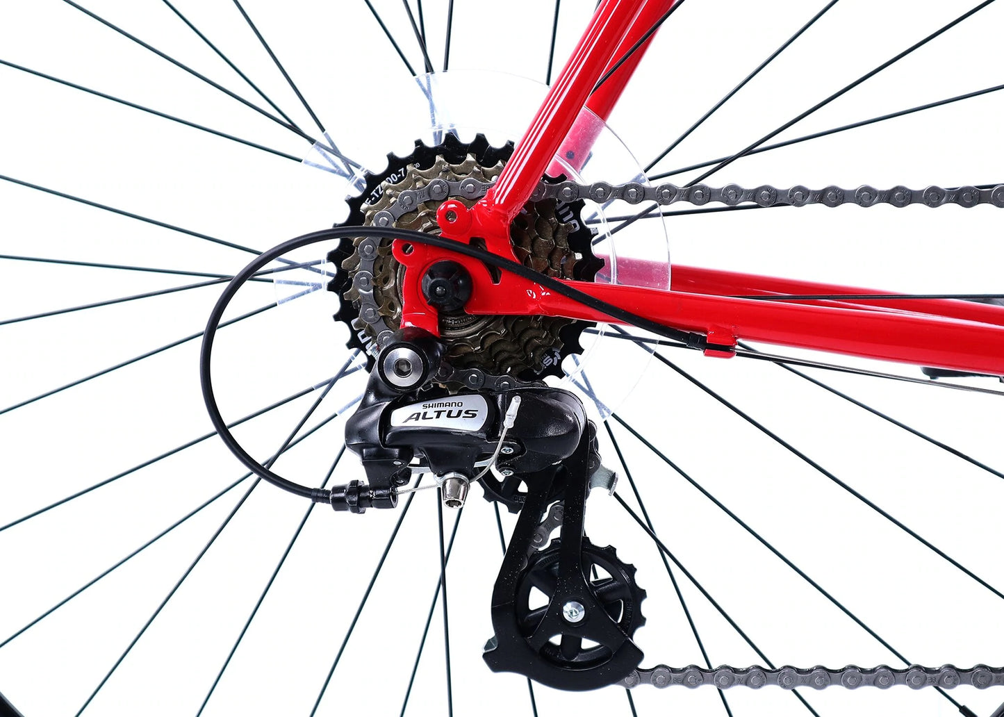 Golden Cycles - Velo 7 - Red