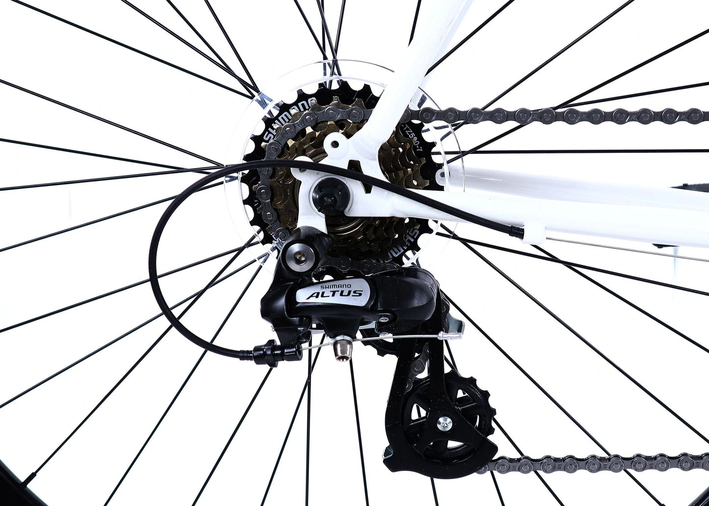 Golden Cycles - Velo 7 - White