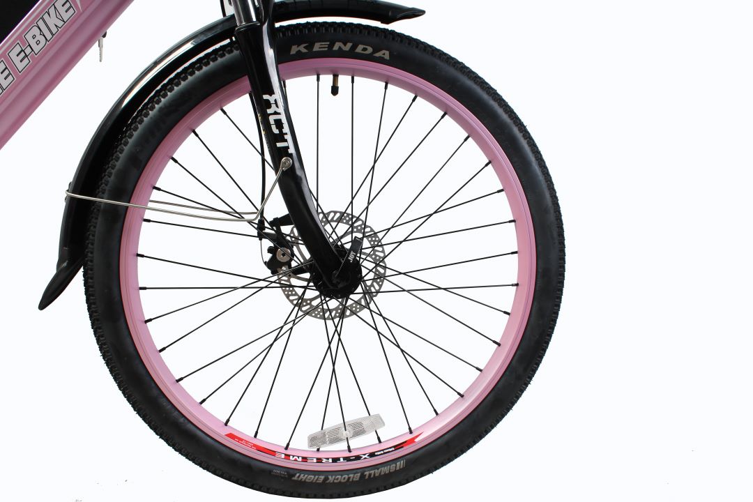 X-Treme Catalina 48V Electric Step-Through Beach Cruiser Bicycle 500W Rear Hub Motor 25 mph 48V 10.4Ah LiFePO4 Battery