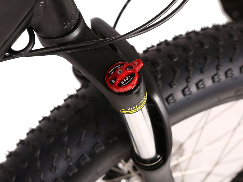 X-Treme Rocky Road 48 Volt 10 Amp Fat Tire Electric Mountain Bicycle