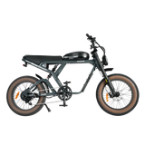 Revi Bikes Cougar Electric Bicycle 34–38 mph 48V Battery High-Torque Motor