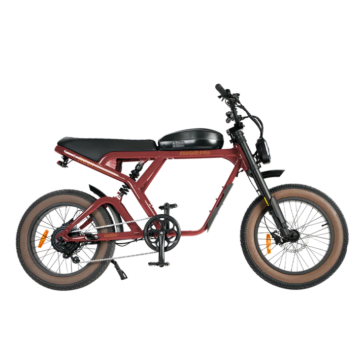 Revi Bikes Cougar Electric Bicycle 34–38 mph 48V Battery High-Torque Motor