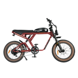 Revi Bikes Cougar Electric Bicycle 34–38 mph 48V Battery High-Torque Motor