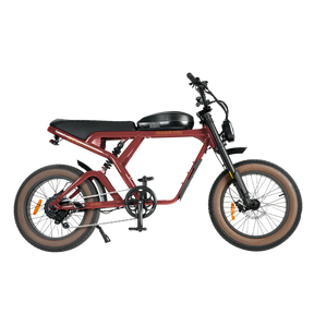 Revi Bikes Cougar Electric Bicycle 34–38 mph 48V Battery High-Torque Motor