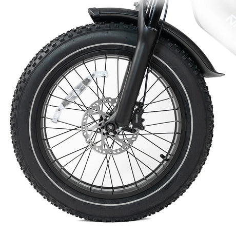 HappyRun G70 Dual-Battery Electric Cargo Bike 1000W Motor 28 mph 48V 30Ah Battery