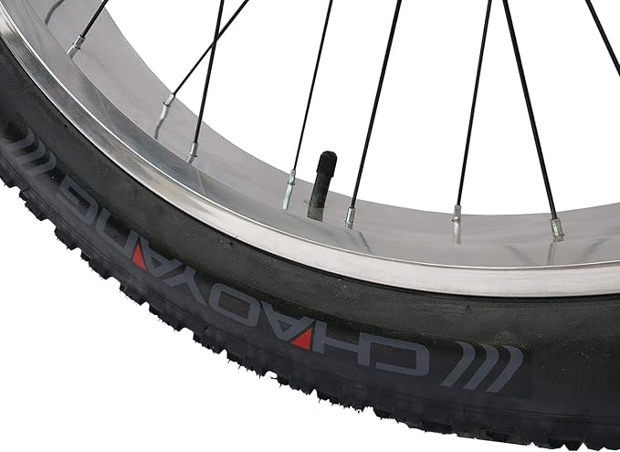 Micargi Slugo A Male 26" Beach Cruiser Bike with Fat Tires, 1-Speed, Disc Brakes