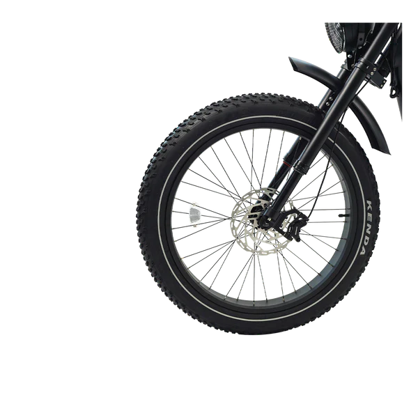 Revi Bikes Cheetah Pro Electric Bicycle 1000W Motor 28 mph Dual 48V 30Ah Battery