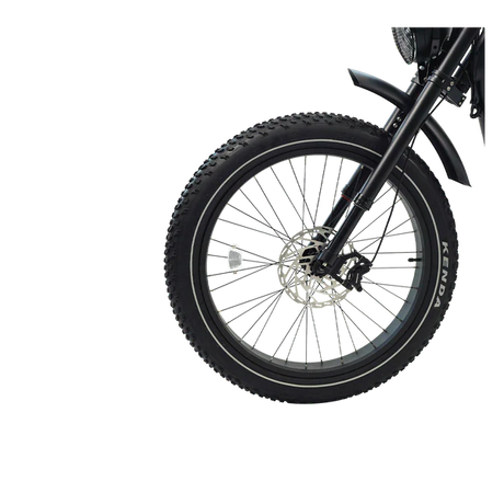 Revi Bikes Cheetah Pro Electric Bicycle 1000W Motor 28 mph Dual 48V 30Ah Battery