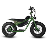 Golden Cycles 16" Big Boy Electric Bicycle 350W Motor Top speed -19 mph, 36V 10Ah Battery