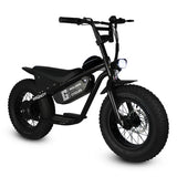 Golden Cycles 16" Big Boy Electric Bicycle 350W Motor Top speed -19 mph, 36V 10Ah Battery