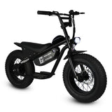 Golden Cycles Big Boy 16-Inch Electric Fat-Tire Bike – 350W, 19 MPH, 36V 10Ah Battery