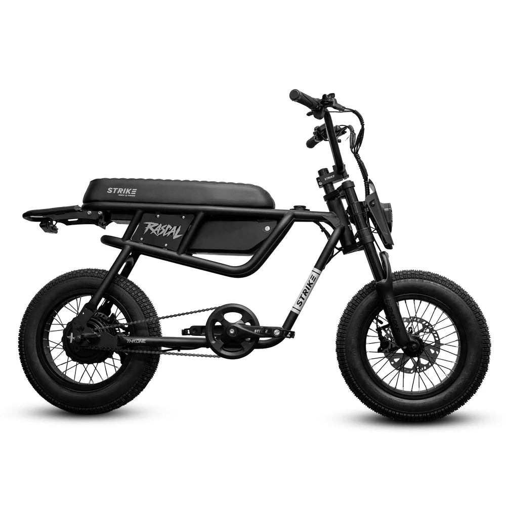 RASCAL Electric Bike 20MPH | 500W Motor | 48V 13Ah Battery | Fat Tire E-Bike