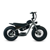 Golden Cycles 16" Big Boy Electric Bicycle 350W Motor Top speed -19 mph, 36V 10Ah Battery