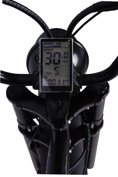 Chico GT7 750W 26" Stretch Cruiser Electric Bike 48V 20Ah Top Speed 30MPH LCD