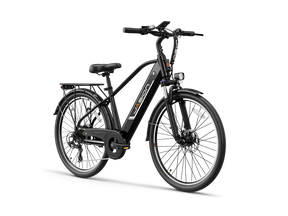 Jasion EB5 Roamer Electric Bike 1200W Peak Motor 15.5 mph 48V 11Ah Battery
