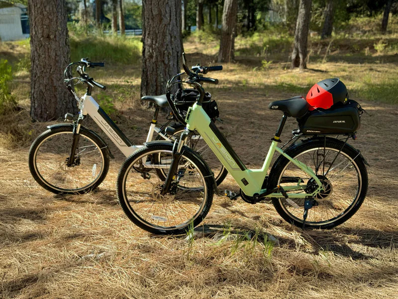 Jasion EB5 Roamer ST