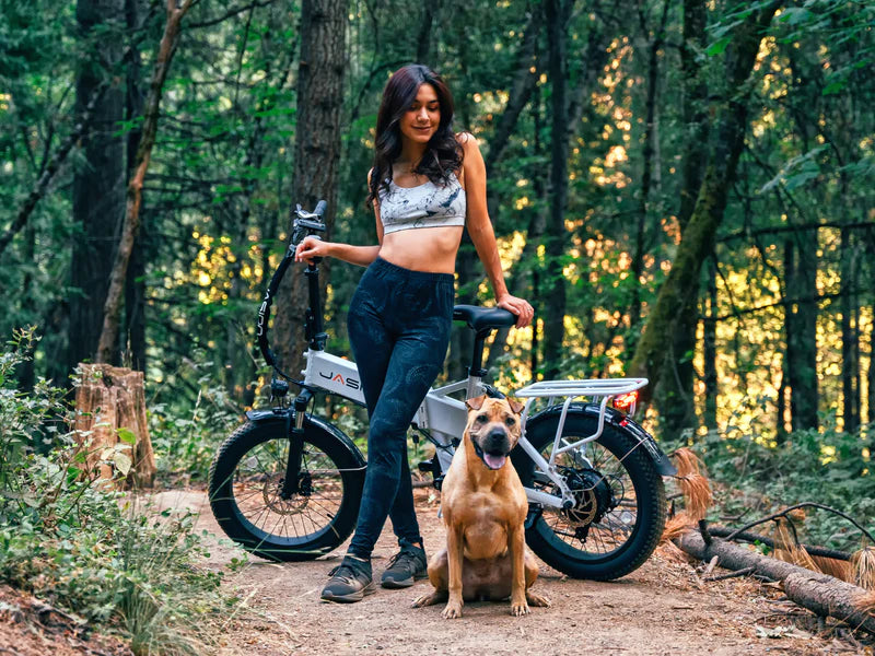 Jasion EB7 2.0 Folding Electric Bike 850W Motor 28 mph 48V 10Ah Battery