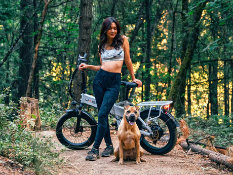 Jasion EB7 2.0 Road Trip Folding Electric Bike 850W Motor 28 mph 48V 10Ah Battery
