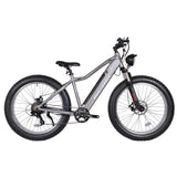Micargi Steed 800W Fat Tire Electric Mountain Bike 20MPH Top Speed