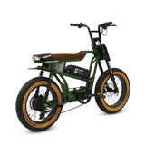 Golden Cycles Panthro Electric Bicycle 750W Motor 28 mph 48V 13Ah Battery