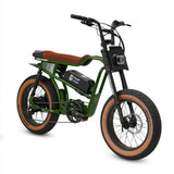 Golden Cycles Panthro Electric Bicycle 750W Motor 28 mph 48V 13Ah Battery
