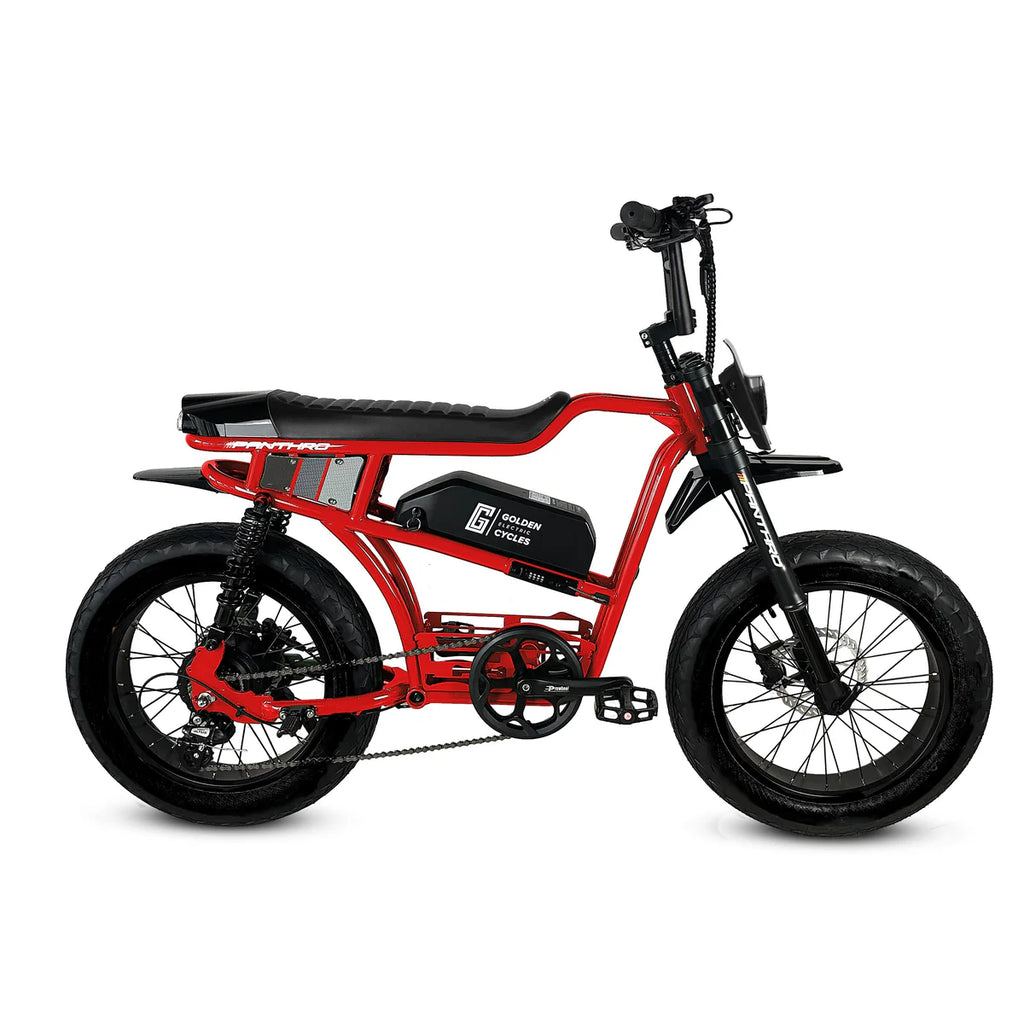 Golden Cycles Panthro E-Bike | 750W Motor, 48V Battery, 60 Mile Range