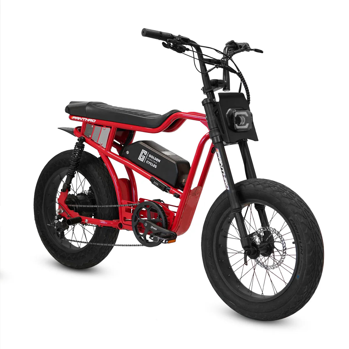 Golden Cycles Panthro E-Bike | 750W Motor, 48V Battery, 60 Mile Range