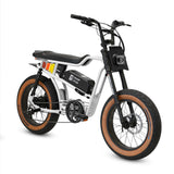 Golden Cycles Panthro Electric Bicycle 750W Motor 28 mph 48V 13Ah Battery