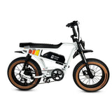 Golden Cycles Panthro Electric Bicycle 750W Motor 28 mph 48V 13Ah Battery
