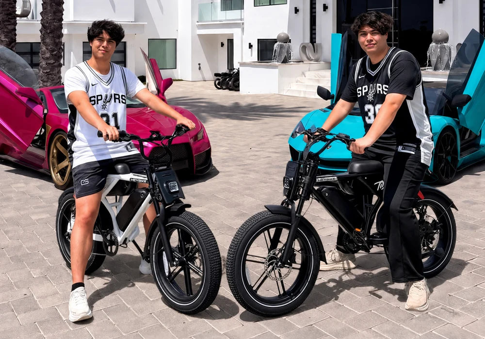 Heybike Titan Moped-Style Electric Bike – 750W, 20 MPH, 80-Mile Range