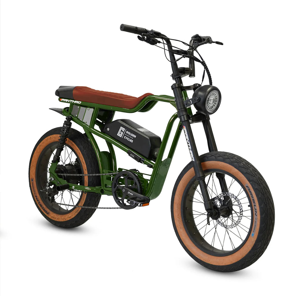 Golden Cycles Panthro E-Bike | 750W Motor, 48V Battery, 60 Mile Range