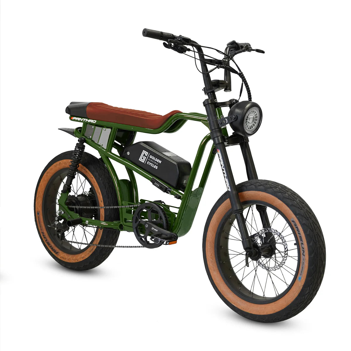 Golden Cycles Panthro E-Bike | 750W Motor, 48V Battery, 60 Mile Range