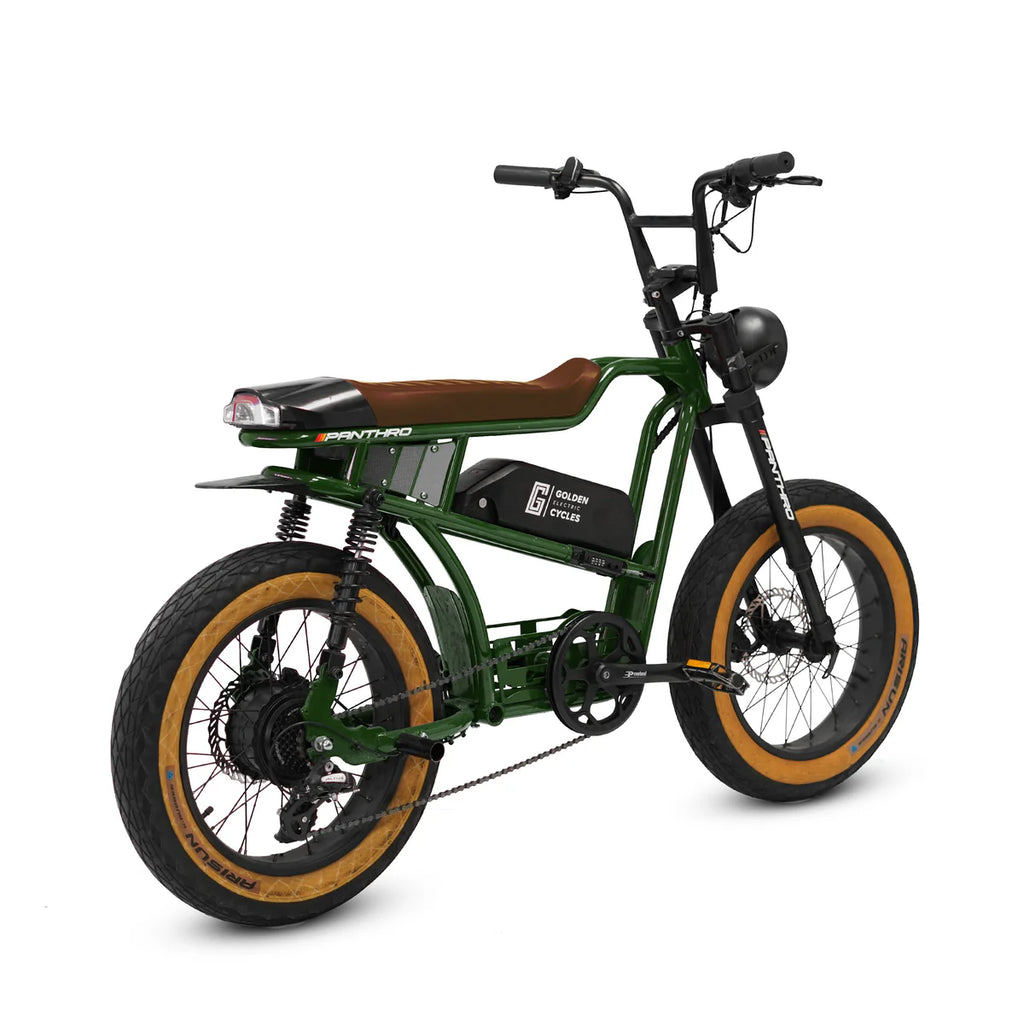 Golden Cycles Panthro E-Bike | 750W Motor, 48V Battery, 60 Mile Range