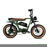 Golden Cycles Panthro Electric Bicycle 750W Motor 28 mph 48V 13Ah Battery