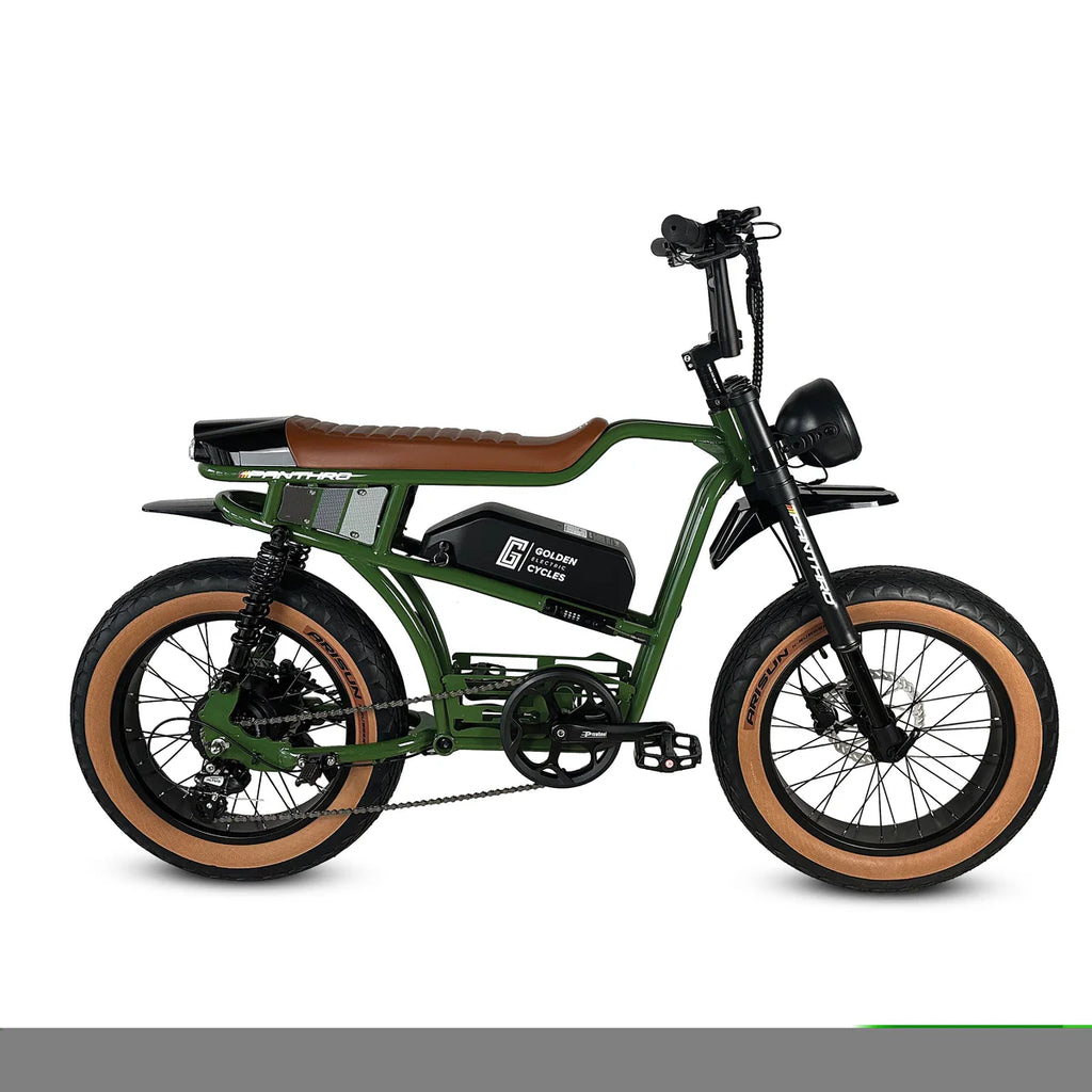 Golden Cycles Panthro E-Bike | 750W Motor, 48V Battery, 60 Mile Range