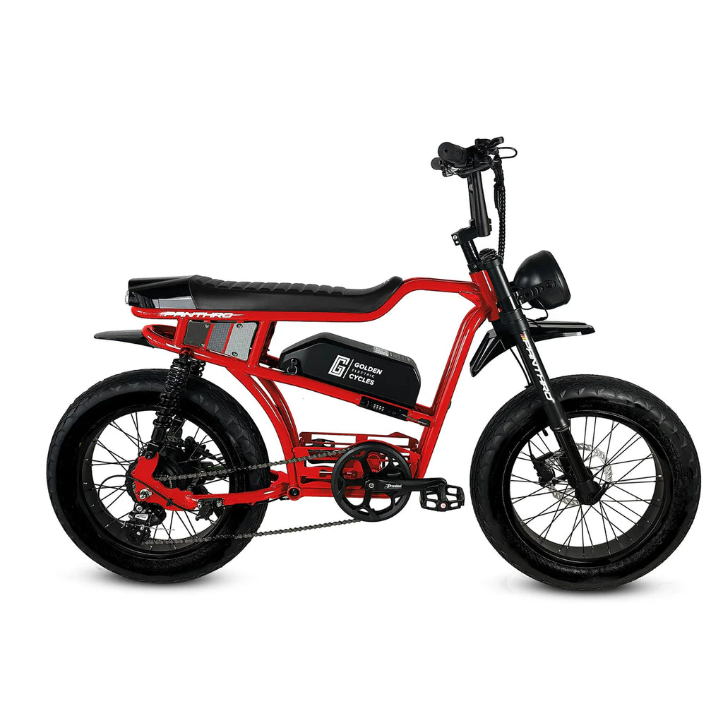 Golden Cycles Panthro E-Bike | 750W Motor, 48V Battery, 60 Mile Range
