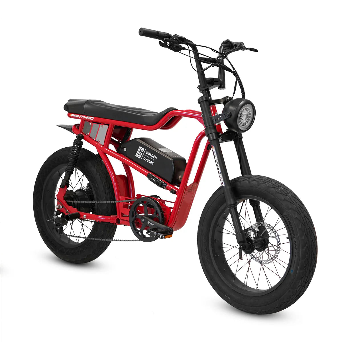 Golden Cycles Panthro E-Bike | 750W Motor, 48V Battery, 60 Mile Range