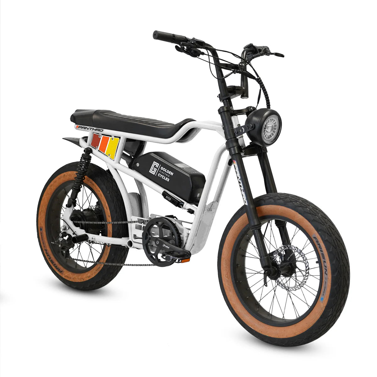 Golden Cycles Panthro E-Bike | 750W Motor, 48V Battery, 60 Mile Range